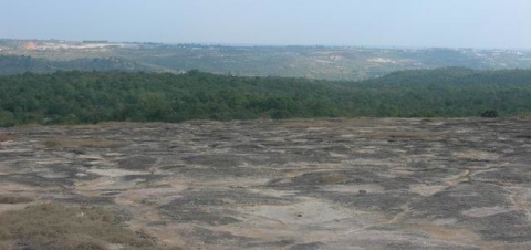  Photo: Madhu Gumballi